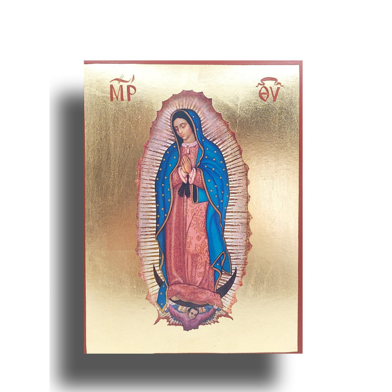 Ikona Panny Marie Guadalupské, Patronky a Zjevení naděje