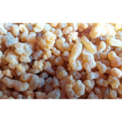 Kadidlo Boswellia Papyrifera z Etiopie - Balzamická Pryskyřice, 30g
