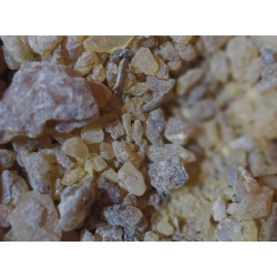 Svatá Pryskyřice Ománská 30g