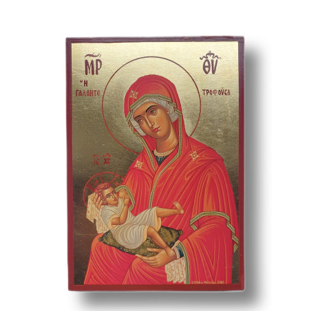 Ikona Matky Boží Pomocnice